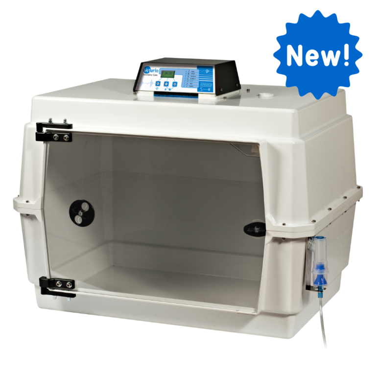 cat incubator Vetario